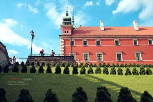 南方风云变幻，球场上壮举频现，引得观众欢呼雀跃