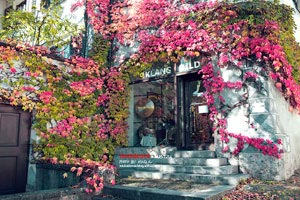 球队主场失利战术调整备战下轮比赛