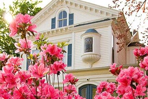 南方风云变幻，球场上壮举频现，引得观众欢呼雀跃