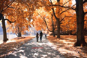 网友评论：球队表现如何，争议不断